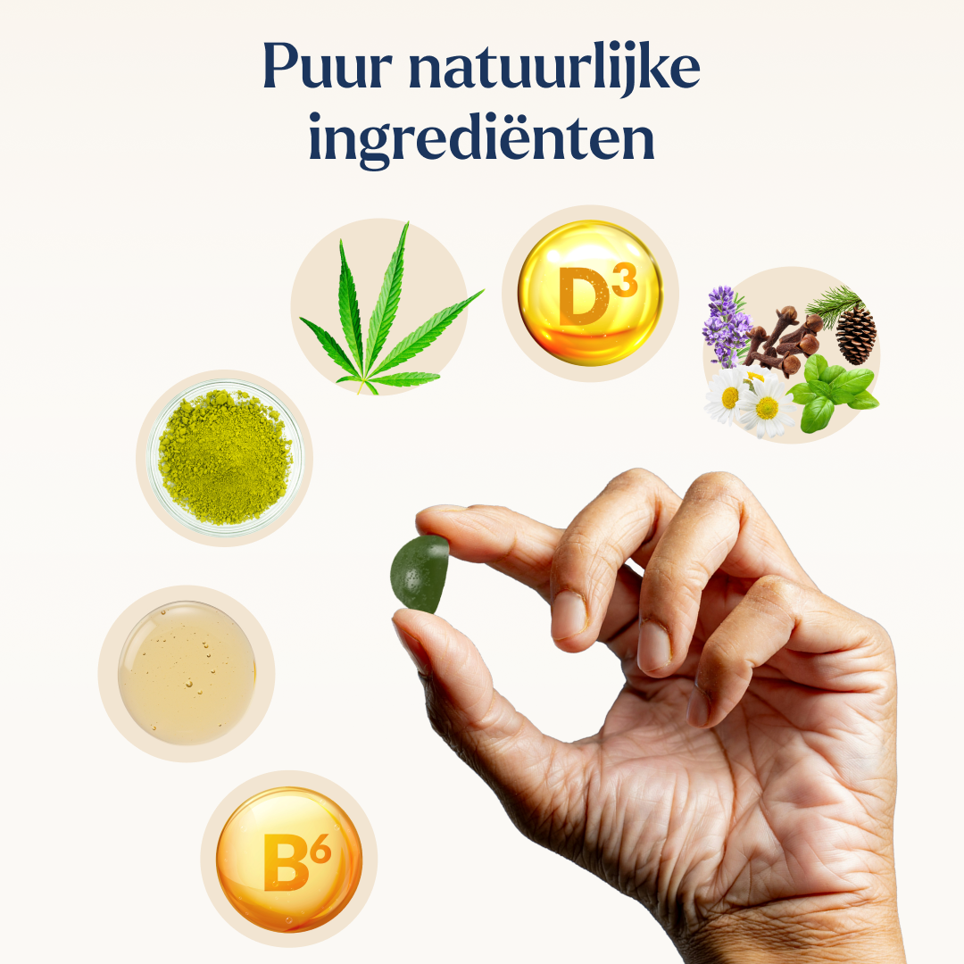 Natuurlijke Nacht Gummies